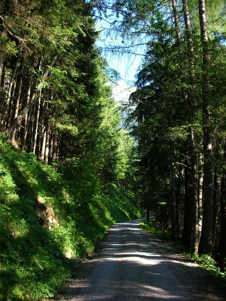 Gafadura Huette 20_07_2010 (2).jpg